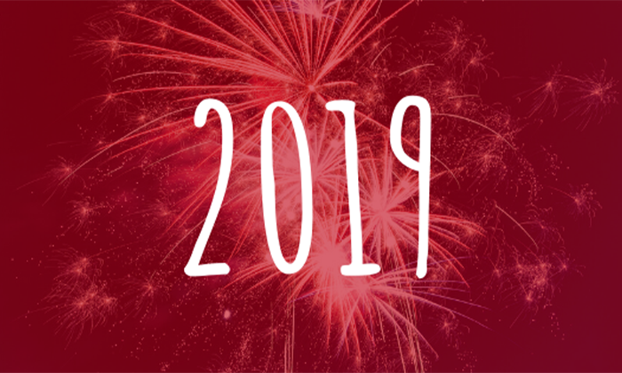 AKÝ BOL NÁŠ ROK 2019?